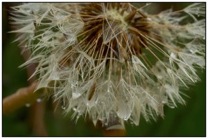 P5010040-bewerkt.jpg